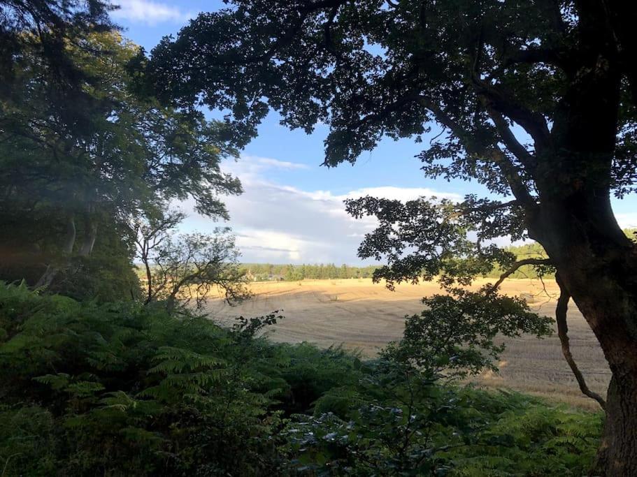 Glenburn, Private Studio Accommodation In Fochabers Eksteriør bilde